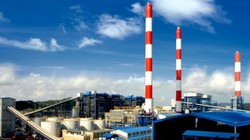 Ảnh minh họa (Nguồn: Internet)