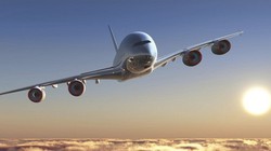 Ảnh minh họa (Nguồn: Internet)