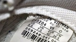 Ảnh minh họa (Nguồn: Internet)