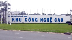 Ảnh minh họa (Nguồn: Internet)