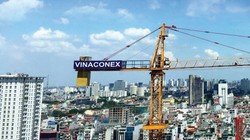 Ảnh minh họa (Nguồn: Internet)