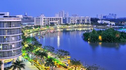 Ảnh minh họa (Nguồn: Internet)