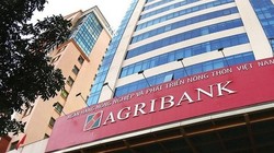 Ảnh minh họa (Nguồn: Internet)