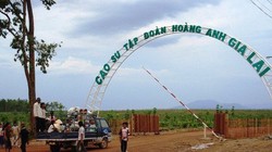 Ảnh minh họa (Nguồn: Internet) 