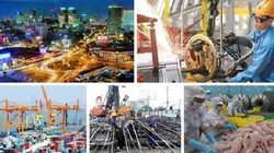 Ảnh minh họa (Nguồn: Internet)