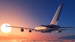 Ảnh minh họa (Nguồn: Internet)