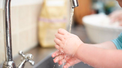 Ảnh minh họa (Nguồn: Internet)