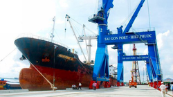 Ảnh minh họa (Nguồn: Internet)