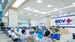 Ảnh minh họa (Nguồn: Internet)