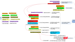 Ông Hồ Minh Hoàng - Chủ tịch Tập đoàn Đèo Cả - tại cuộc họp ĐHĐCĐ bất thường lần 2 của Hamadeco