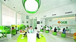 Ảnh minh họa (Nguồn: Internet)