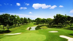 Ảnh minh họa (Nguồn: Internet)