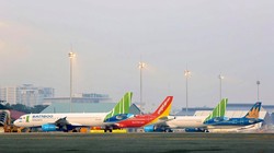 Ảnh minh họa (Nguồn: Internet)