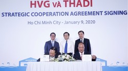 Buổi lễ ký kết hợp tác chiến lược giữa Thadi và HVG (Ảnh: Thaco)