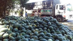 Nông sản Việt Nam xuất sang Trung Quốc chịu nhiều tác động bởi dịch do virus Corona chủng mới (Ảnh minh họa - Nguồn: Internet)