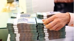 Ảnh minh họa (Nguồn: Internet)