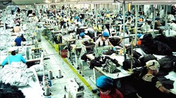 Ảnh minh họa (Nguồn: Internet)