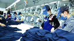 Ảnh minh họa (Nguồn: Internet)