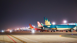 Các hãng hàng không cắt giảm tần suất khai thác rất lớn do Covid-19