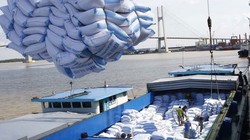 Ảnh minh họa (Nguồn: Internet)