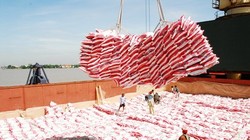 Ảnh minh họa (Nguồn: Internet)