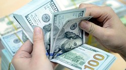 Ảnh minh họa (Nguồn: Internet)