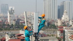 Ảnh minh họa (Nguồn: Internet)