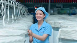 Ảnh minh họa (Nguồn: Internet)