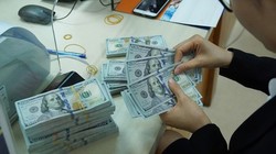 Ảnh minh họa (Nguồn: Internet)