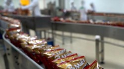 Ảnh minh họa (Nguồn: Internet)