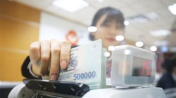 Ảnh minh họa (Nguồn: Internet)