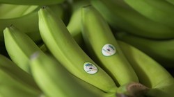 Doanh thu trái cây của HNG tăng mạnh trong Quý 1/2020 (Ảnh minh họa - Nguồn: Internet)