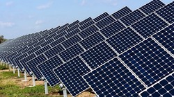 Ảnh minh họa (Nguồn: Internet)