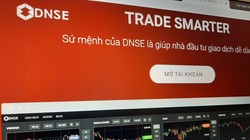 Ảnh chụp màn hình trang chủ DNSE 