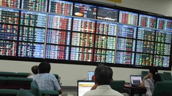 Ảnh minh họa (Nguồn: Internet)