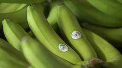 Ảnh minh họa (Nguồn: HNG)