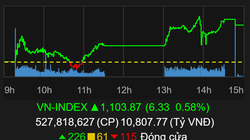 VN-Index chốt năm 2020 trên 1.100 điểm (Ảnh chụp màn hình - Nguồn: TVSI)