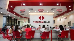 Tính đến 31/12/2020, tỷ lệ nợ xấu của Techcombank giảm còn 0,5%