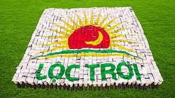 Tập đoàn Lộc Trời (LTG) báo lãi 369 tỉ đồng năm 2020, biên lợi nhuận gộp đạt 27% 