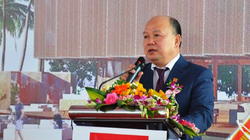 Ông Tô Dũng - Chủ tịch Tập đoàn Xuân Cầu Holding