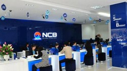 Sóng ngầm cổ phiếu NVB 