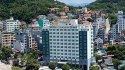 Mổ xẻ khoản lãi đột biến của OCH năm 2020