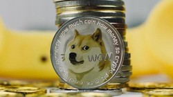 Ngay cả Elon Musk cũng cảnh báo cẩn trọng khi đầu tư vào Dogecoin