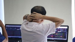 Giả mạo công văn của HoSE, một cá nhân bị xử phạt 15 triệu đồng 