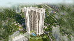 Dự án An Bình Plaza của Glexhomes