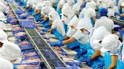 Chốt lời cổ phiếu IPA, một doanh nghiệp thuỷ sản thoát lỗ quý 3/2021