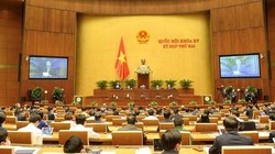 Toàn cảnh phiên thảo luận (Ảnh: VGP)