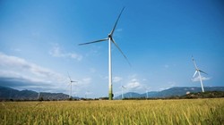 PTC có tham vọng lớn trong lĩnh vực điện gió. Ảnh: Internet 