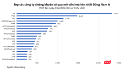 Trong số 20 CTCK vốn hoá lớn nhất Đông Nam Á, quá nửa đến từ Việt Nam 