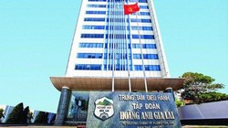 Thêm 6 nhà đầu tư muốn mua cổ phiếu riêng lẻ của HAG (Ảnh minh hoạ - Nguồn: Internet)